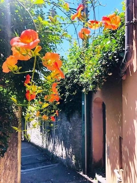 Romantic garden sea view Nervi Genua