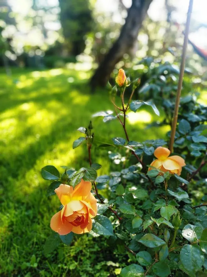 Romantic Garden Sea View Nervi Genova Appartamento